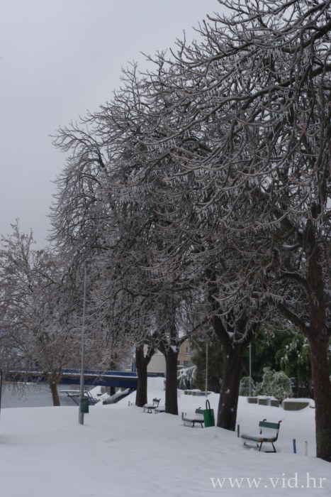 Metkovic (59)